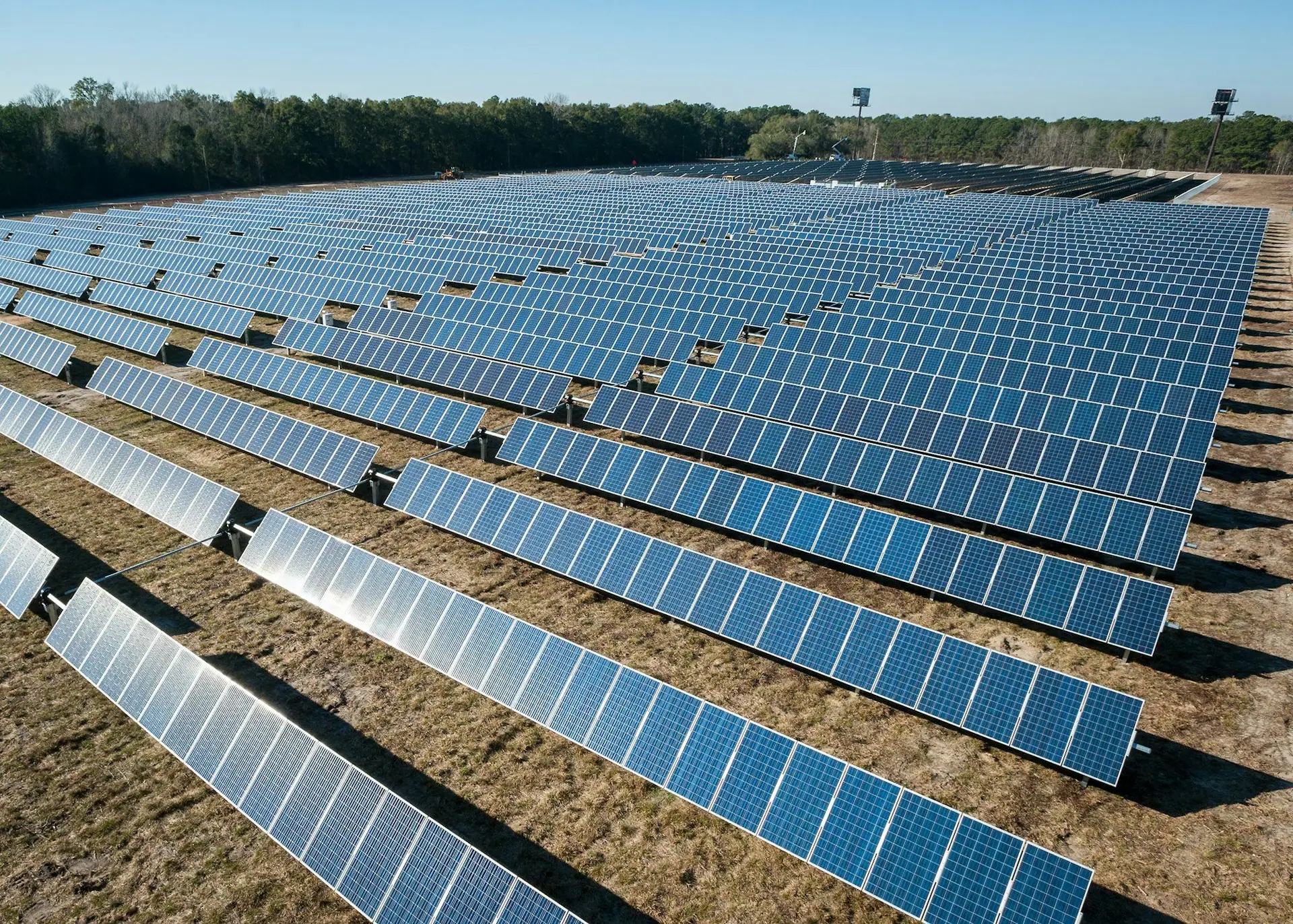 Utility-scale solar array stretching towards a tree line